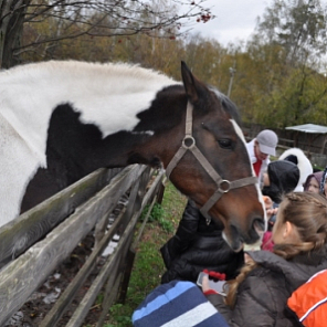 Экскурсия в зверосовхоз