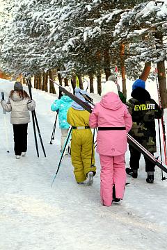 Лыжный сезон