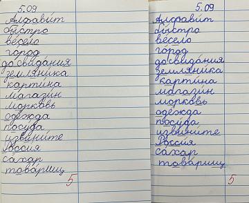 Международный день грамотности