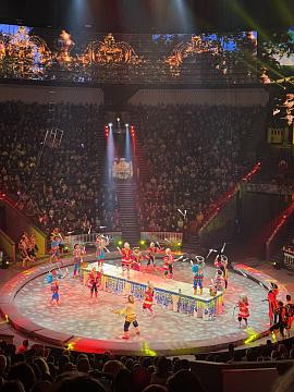 Новогодняя поездка в цирк — праздник для детей и взрослых!