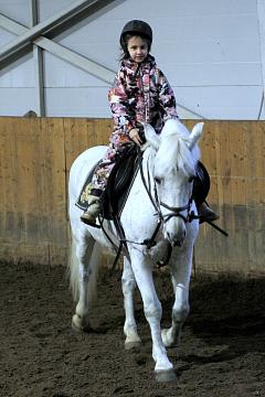 Конный спорт