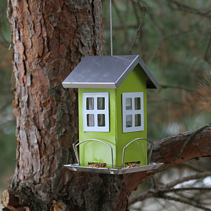 Акция "Покорми птиц!"