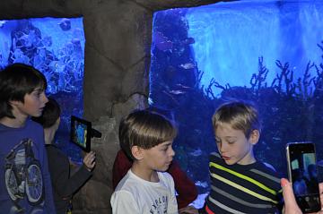 Океанариум