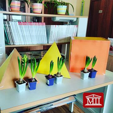 Ежегодная муниципальная научная экологическая конференция "Человек. Природа. Общество"