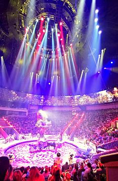 Новогодняя поездка в цирк — праздник для детей и взрослых!