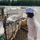 Путешествия по городам России