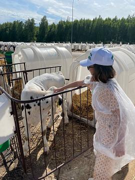 Путешествия по городам России