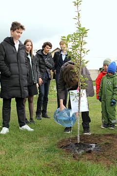 Международный день мира