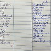 Международный день грамотности