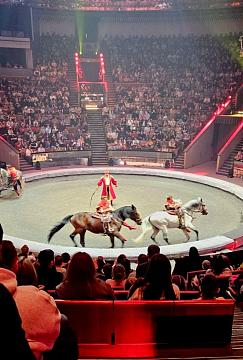 Новогодняя поездка в цирк — праздник для детей и взрослых!