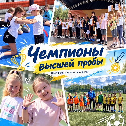 Чемпионы высшей пробы