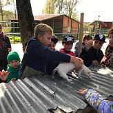 Приокско-Террасный биосферный заповедник