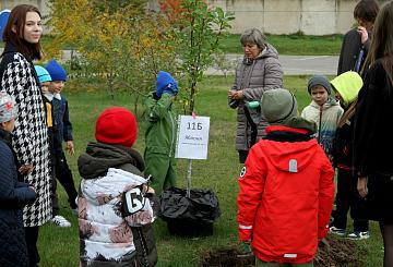 Международный день мира