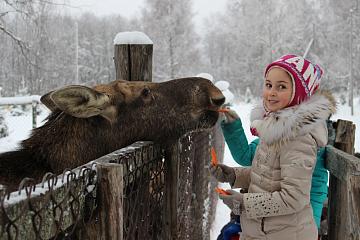 В гостях у Снегурочки в Костроме