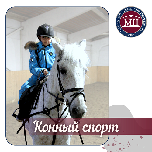 Конный спорт