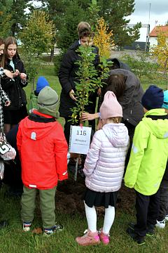 Международный день мира
