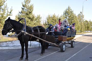Масленица 2014