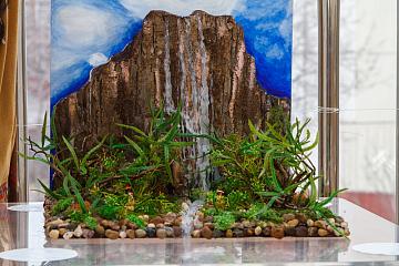 Дружбовидение-2016