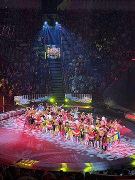 Новогодняя поездка в цирк — праздник для детей и взрослых!