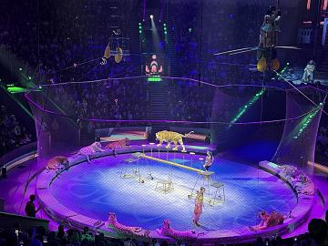 Новогодняя поездка в цирк — праздник для детей и взрослых!