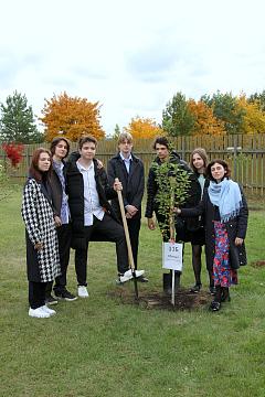 Международный день мира