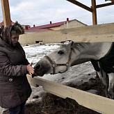 совещание директоров школ Красногорского района