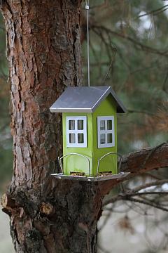 Акция "Покорми птиц!"