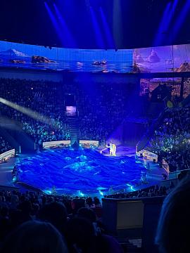 Новогодняя поездка в цирк — праздник для детей и взрослых!