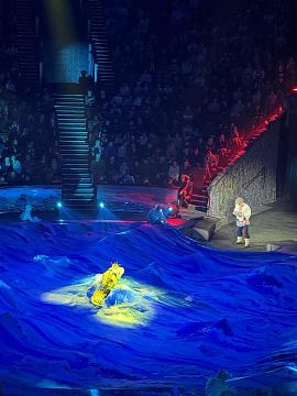 Новогодняя поездка в цирк — праздник для детей и взрослых!