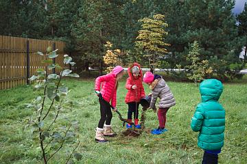 "День мира" в МАШ