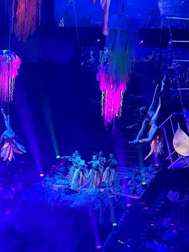 Новогодняя поездка в цирк — праздник для детей и взрослых!