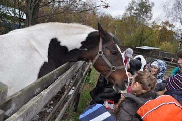 Экскурсия в зверосовхоз