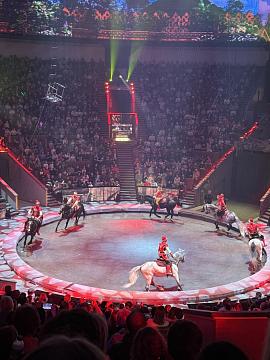 Новогодняя поездка в цирк — праздник для детей и взрослых!