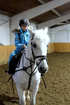 Конный спорт